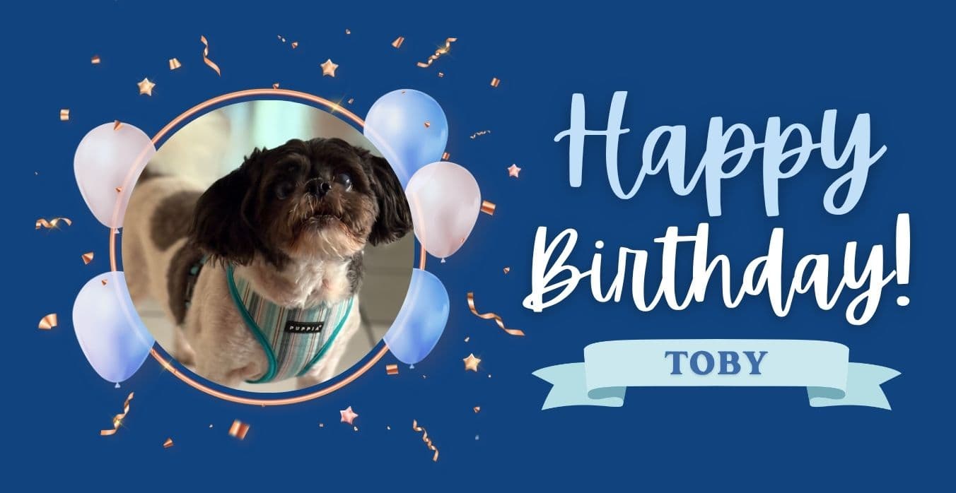 Toby's Bday Pool Party